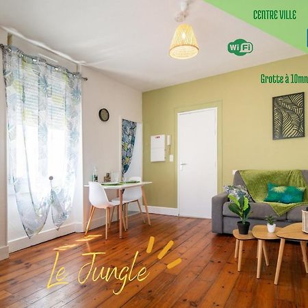 Le Jungle--Hyper Centre--Tout Confort--Wifi ลูร์ด ภายนอก รูปภาพ